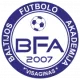 Logo Vilnius BFA